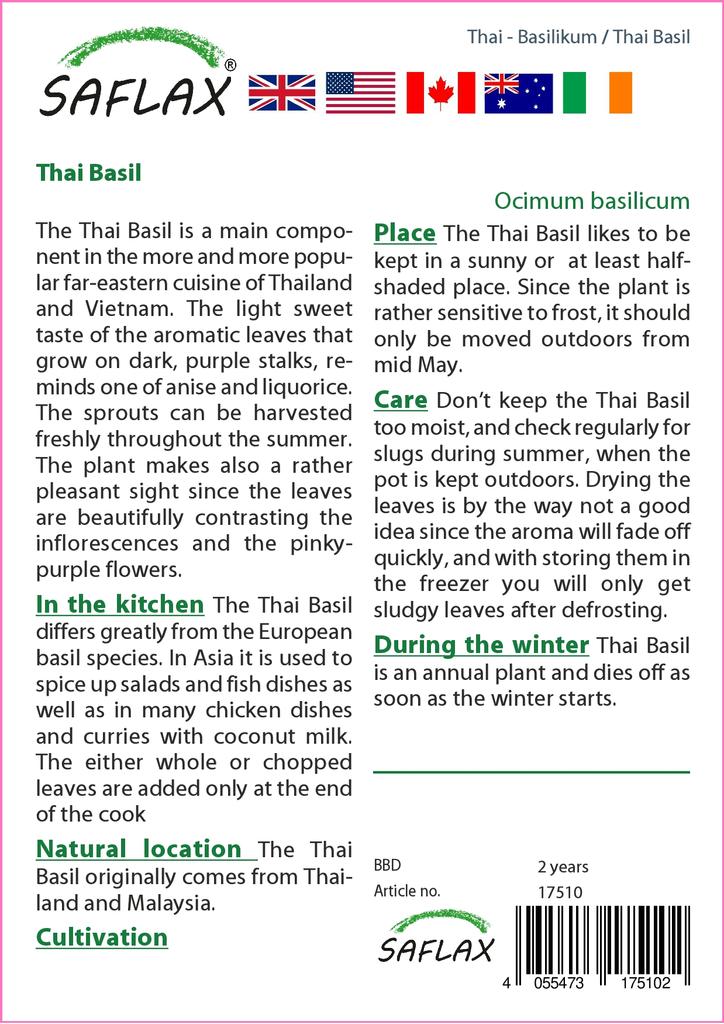 SAFLAX Garden in the Bag - Тайский базилик - 200 семян - С субстратом в подходящем пакете - Ocimum basilicum