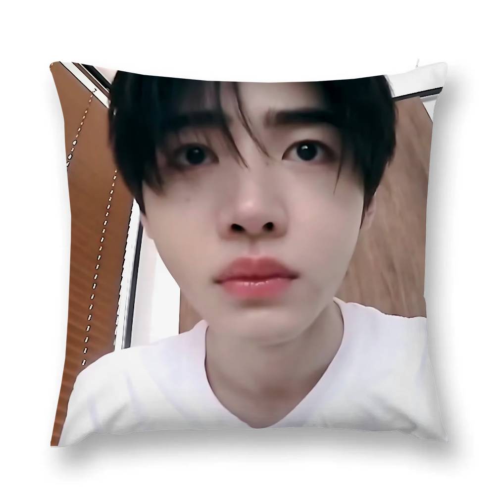Popular Korean Boy Band Ssunghoons Pillow Case Throw Pillow Cover Nordic Vintage Style Cushion Covers Home Living Room Sofa C