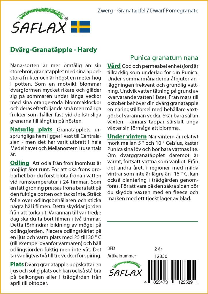 SAFLAX Карликовый гранат - 50 семян - С горшечным субстратом для лучшего выращивания - Punica granatum nana