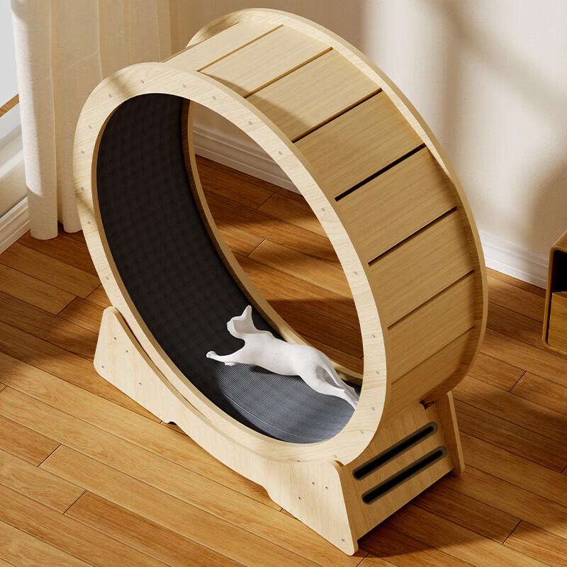 Cat Exercise Wheel & Climbing Frame
