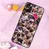 Cute Pug Dog Case For Oppo A6 A5 Pro A15 A16 A76 A96 A17 A57 A98 A58 A78 A18 A38 A54 A74 A94 A40 A60 A80