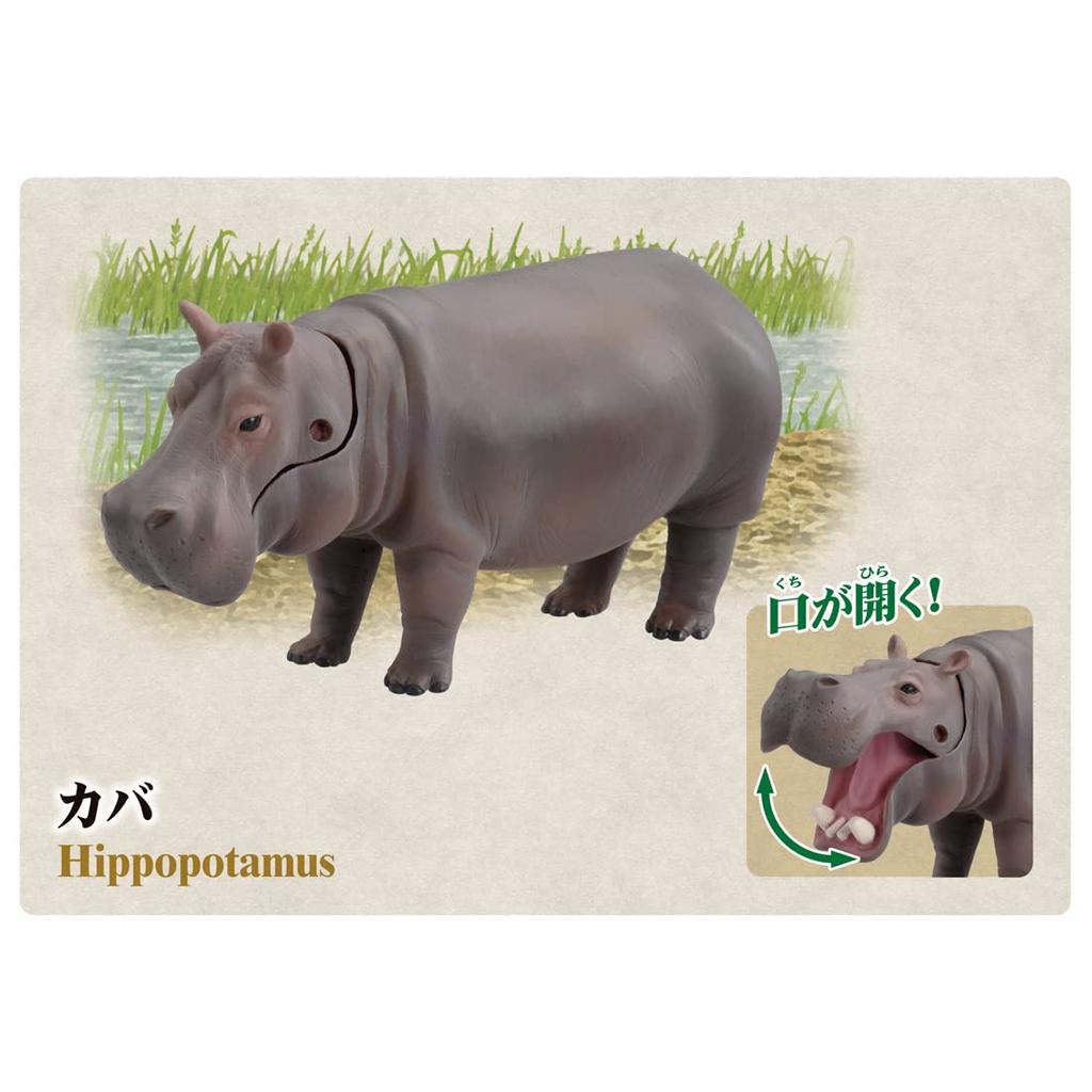 TAKARA TOMY 10th Anniversary Memorial Animal Dinosaur Реалистичная движущаяся фигурка Игрушка для детей от 3 лет Соответствует стандартам безопасности игрушек Сертификация ST Mark ANIA