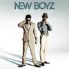 CD NEW BOYZ - Слишком крутые, чтобы заботиться (Ограниченный первый тираж WPCR13884 Warner Bros. 2011 Япония Оби Рэп и Хип-хоп/R&B Б/у