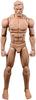 1:12 Scale Male Action Figure Model, Ultra-Medium Muscle Strong Custom Handsome Solid Figure Body, 6-Inch Polyester Miniature Collectible Doll
