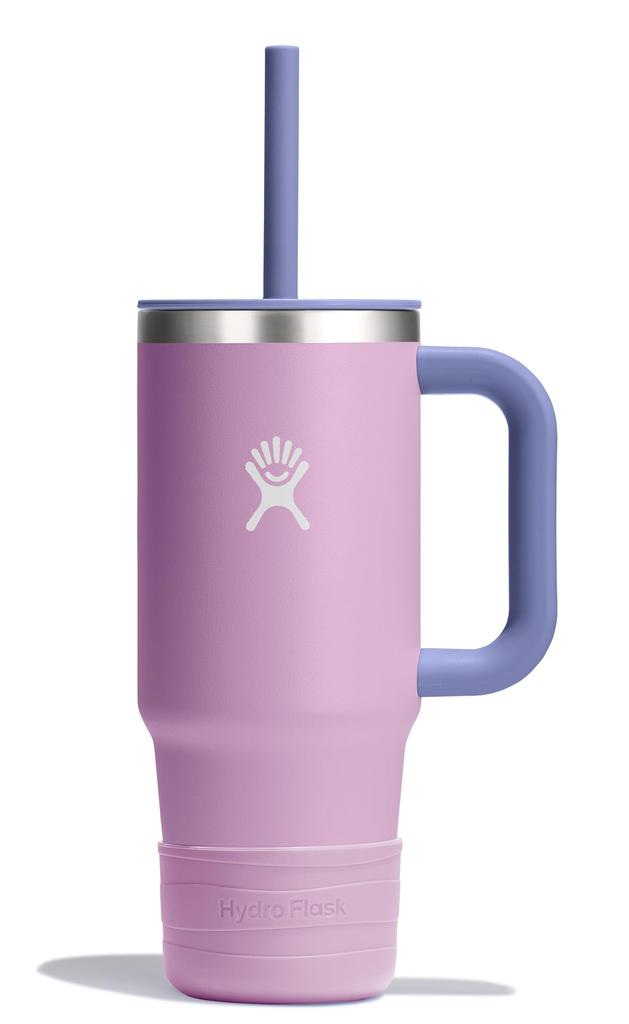 Stainless Steel Kids Tumbler with 24oz Anemone Insulated Water Bottle Japanese Straw, (709ml) Design, (Official Product)