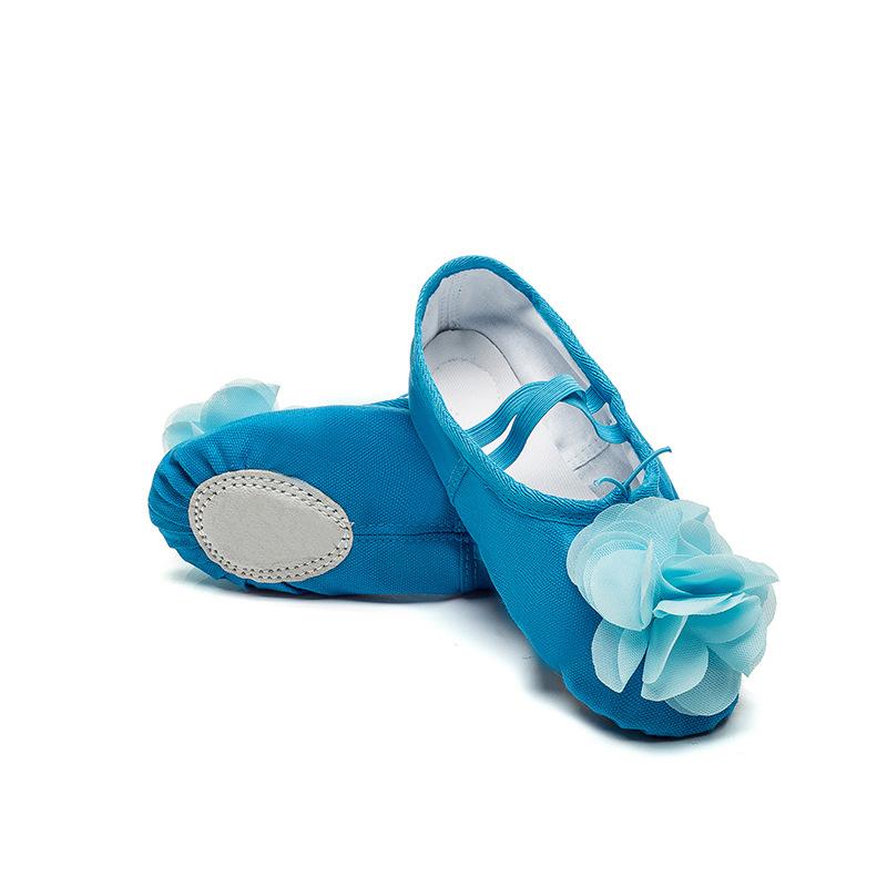 Adult Children's Dance Shoes Men's and Women's Ballet Soft Sole Practice Shoes Form Class Yoga Shoes Flower Cat Claw Dancing Shoes