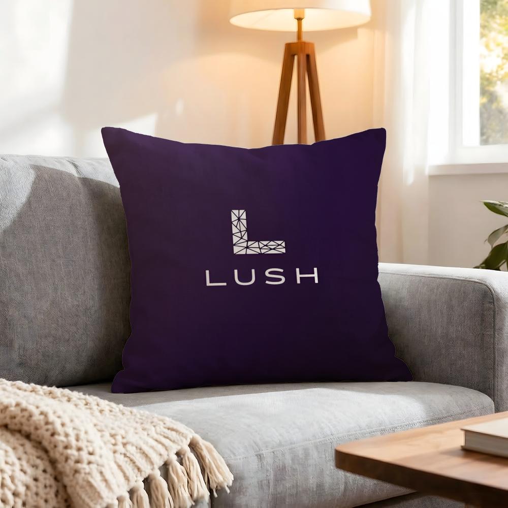 Brand Lush Cushion Cover 1Pcs Decorative Covers Soft Cushion Case For Sofa Couch Decor 40X40 45X45 Pillowcases