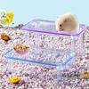 Hamster Platform Transparent Detachable Decorative Landscaping Clear Food Bowl Storage Burr-free Pet Stand Play Climbing Toy Pet Supplies