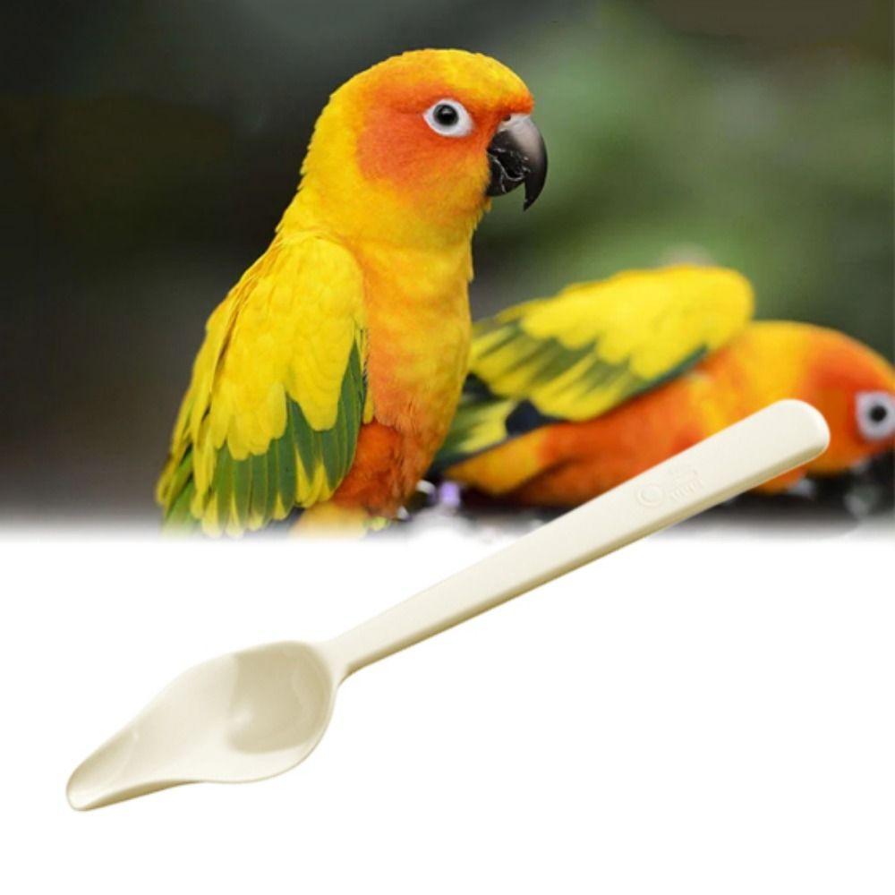 Long Handle Bird Milk Powder Feeder Heat-resisting Chicks Medicine Spoon  For Cockatiel Parrots