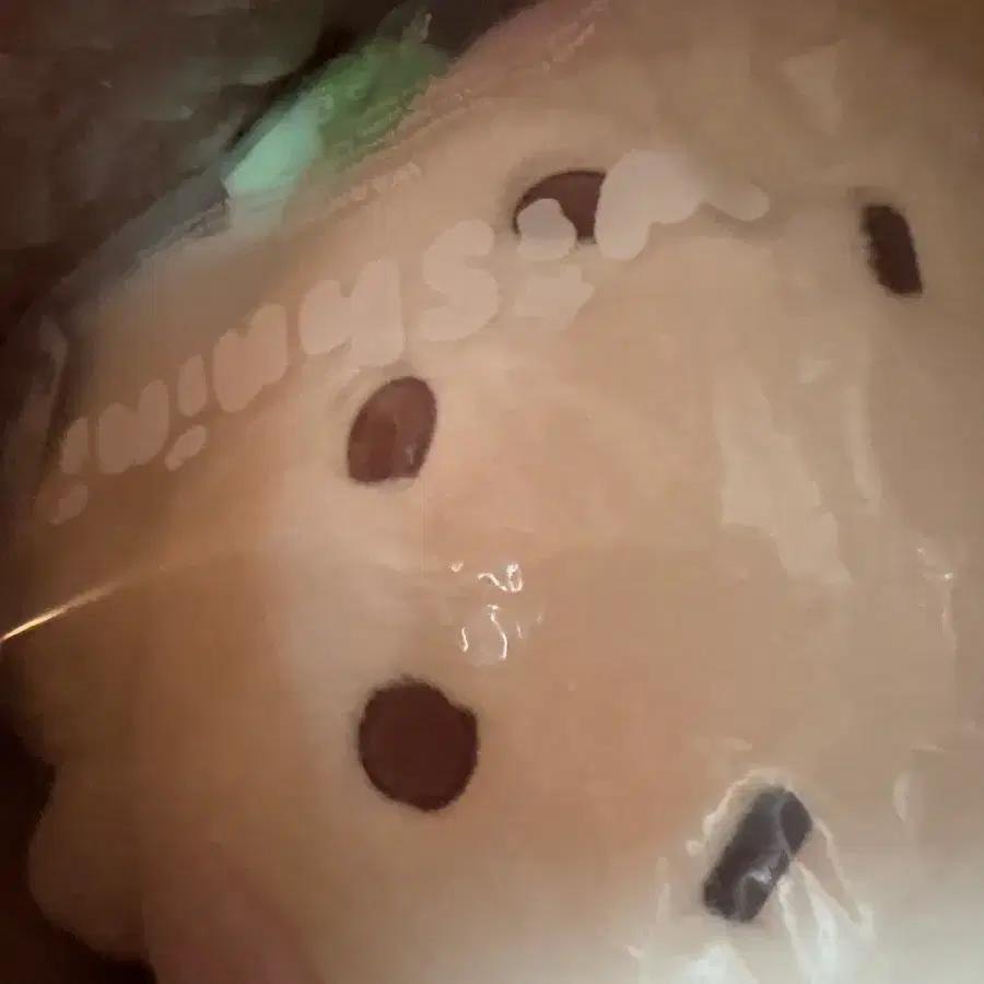 NCT WISH Wishnini House Daengtrinny Large Hug Cushion Daengtriver