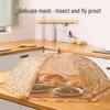Modern Minimalist Foldable Mesh Food Cover & Table Protector