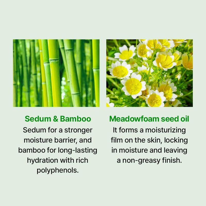 [Veganifect] Увлажняющий крем Clean and Glow Sedum 50 г