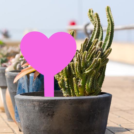 20 шт., этикетки для садовых растений, креативная форма, яркие цвета, многоразовые водонепроницаемые маркеры для растений, садовые вывески для дома и улицы