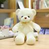 Colorful Ribbon Teddy Bear Plush Toy with Ten Color Options