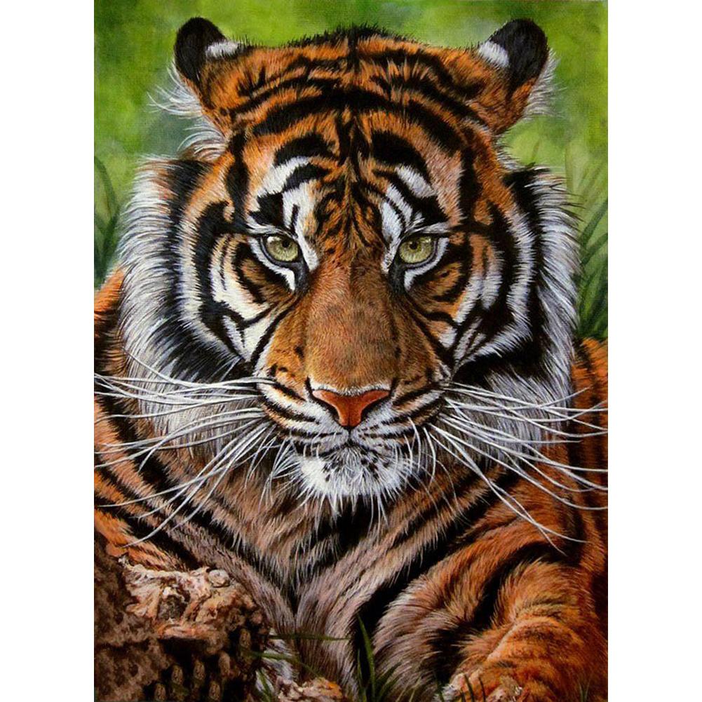 Новый 5D алмазная живопись «сделай сам» животное волк тигр Алмазная мозаика кошка и собака набор для вышивки крестом украшение стены подарок ручной работы