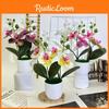Flowers Artificial Phalaenopsis Decorative Plant For Home And Decoration Event