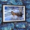 Full Square Drill Diamond Painting 5d Wild Wolf Landscape DIY Diamond Embroidery Christmas Cross Stitch Mosaic Handicraft Needlework Home Decor