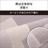 Panasonic Hot Electric Triple Insulation Energy Timer Dust Mite 2 Side Changeable Cover 2 Tatami Gray Carpet, Carpet, Structure, Saving, Function,