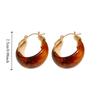 Circle Round Earring Jewelry Accessories Hoop Ear Buckle Trendy Resin Hoop Earrings  Wedding