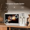 Elvis Radio T5 Плавающий Bluetooth-динамик с текстами и двойными микрофонами, штекер CN (адаптер в комплекте)