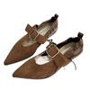 Pointed Toe Women Marie Jane Shoes Low Heels Fashion Buckle Shoes Autumn 2024 Trend New Designer Dress Woman Walking Zapatos