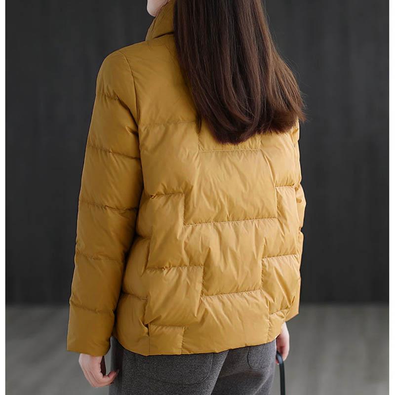 Зимняя стильная пуховая куртка с воротником-стойкой, женская свободная и универсальная легкая хлопковая куртка