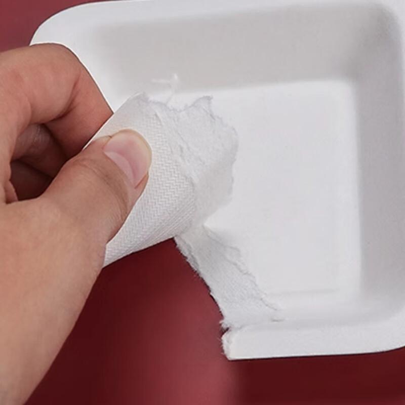 Одноразовые тарелки из багассы Sheng Bi Lai