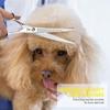SANGELAR 7 Inch Japan 440c Curved Chunker Scissors Paint Shaped Scissors Pet Grooming Shear Special Design
