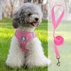 Vest-style Dog Leash Small Dog Bichon Teddy Pomeranian Puppy Puppy Harness Leash Walking Dog Leash