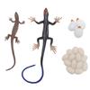 Skink Life Cycle Toy Figurines PVC High Simulation Animal Life Cycle Toy Sandbox Accessories