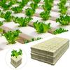 100 шт. Многоцелевая питательная среда для культуры Беспочвенное выращивание Вентилируемые кубики для выращивания Сильное водопоглощение для размножения растений