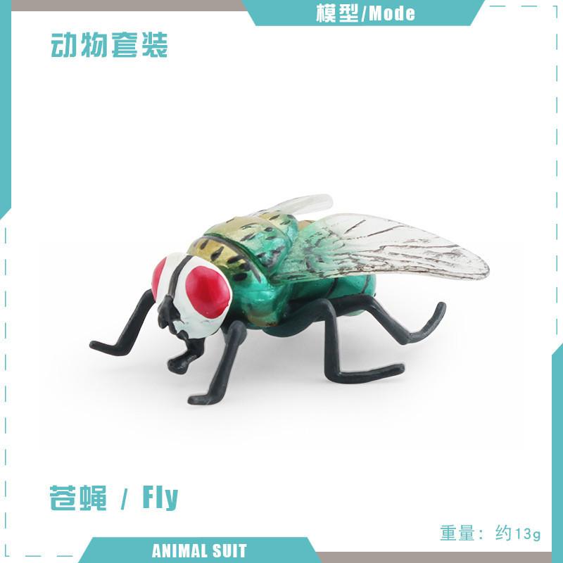 Realistic Pvc Insect Model Set Including Rhinoceros Beetle And Dragonfly For Decoration