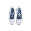 Nike Мужские кроссовки Air Zoom Pegasus 40 Kentucky White Team-Royal Wolf-Grey DZ5986-100