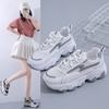 Dad Shoes Ayollar Kuzgi Yangi Ins Trendy Ko'p Qirrali Platforma Talaba Sport va Dam Olish Poyafzali