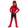 Girls Costume Set