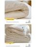 2025 Thickened Winter Cotton Quilt Comforter - Warm & Cozy Bedding for Dorms and Students, Perfect for Spring and Autumn