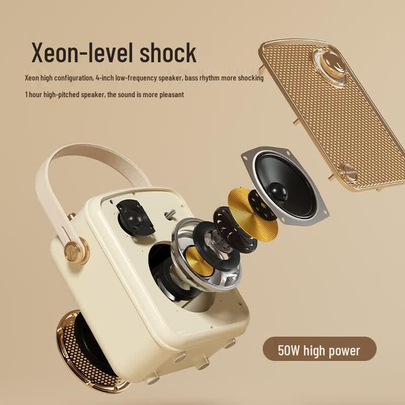 Newmine K513 Portable Karaoke Party Speaker with Dual Mics (CN version)