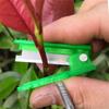 Нож для большого пальца, садовый инструмент, ножницы для сбора растений и фруктов, портативный маленький нож, ножницы для обрезки овощей и растений для легкой уборки урожая