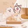 Cat Dog Series Desktop Calendar DIY Agenda Organizer 2026 3D Desk Calendar  Home Office Desk