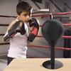 Desktop Punching Bag with Suction Cup Heavy Duty Stress Relief Boxing Speed Ball Kids Adults Reaction Speed Training Boxing Bag Home Office Desk Toy