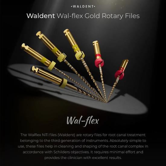 Waldent Wal-flex Gold Ротационные файлы - Ассорти
