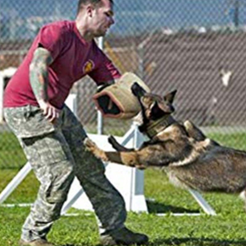 Укреплённый рукав для дрессировки собак