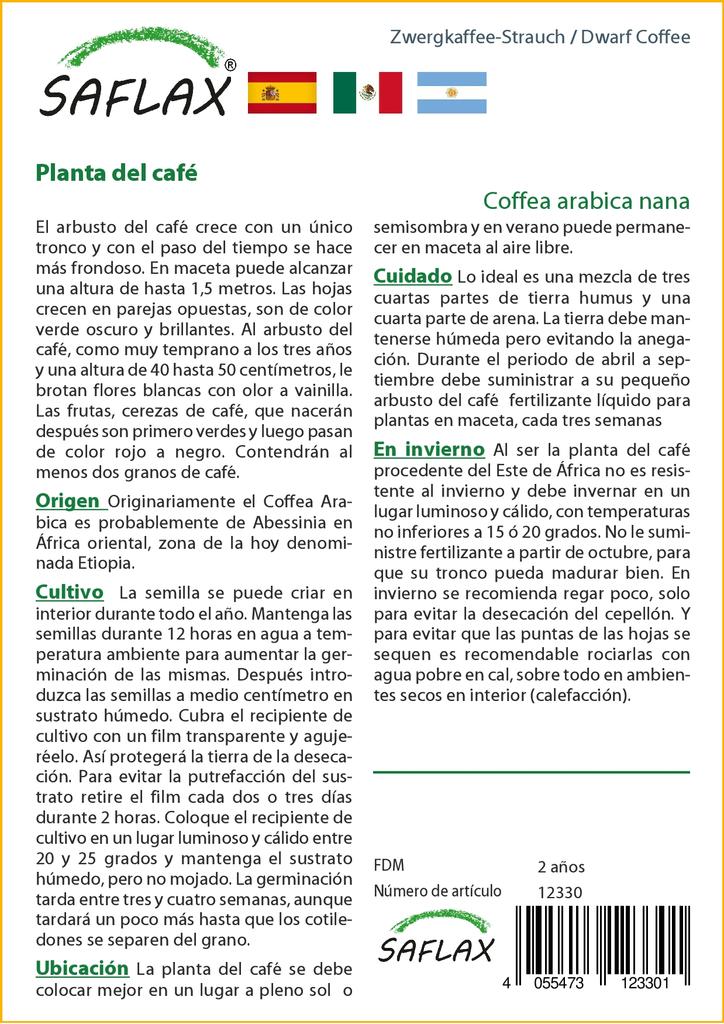 SAFLAX Кофе Карлик - 8 семян - Coffea arabica nana