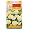 Tagetes Large-flowered Albatros Seeds 0.3g Flowers for the Garden