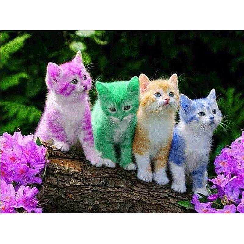 5D DIY Diamond Painting Coloured Cat Embroidery Cross Stitch Rhinestone Mosaic Home Decor