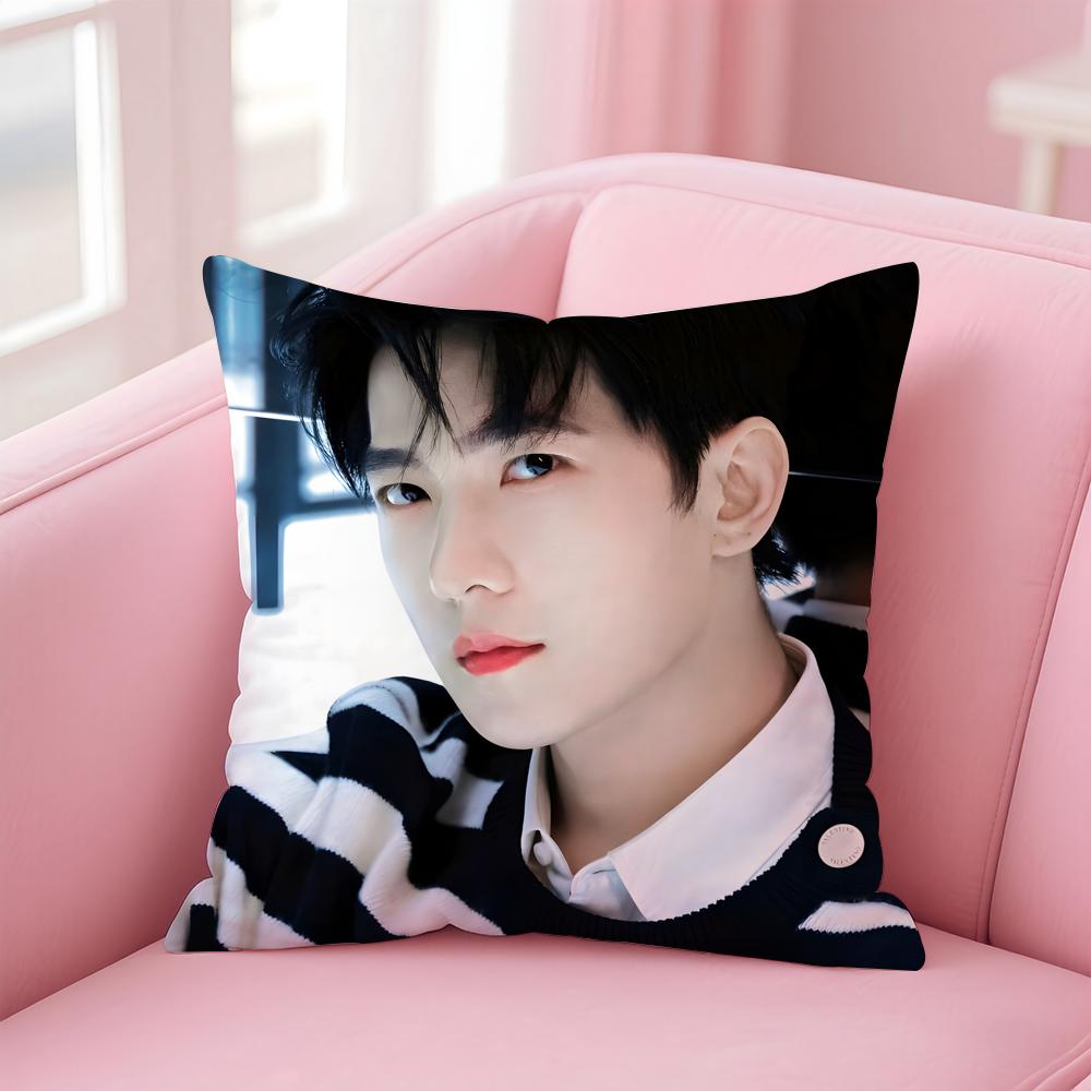 actor handsome YYang Yang Cushion Cover Pillow Case Soft Skin Friendly Fabric Concealed Zipper