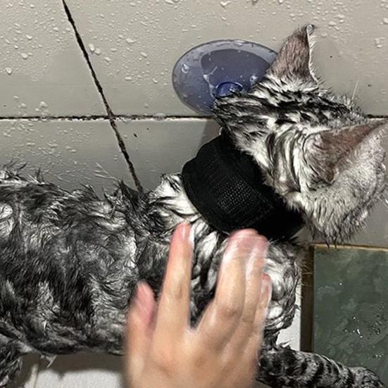 Pet Grooming Suction Cup Holder Adjustable Dog Bathing Restraint Loop Leash for Dogs And Cats Nail Trimming Shower Bathing