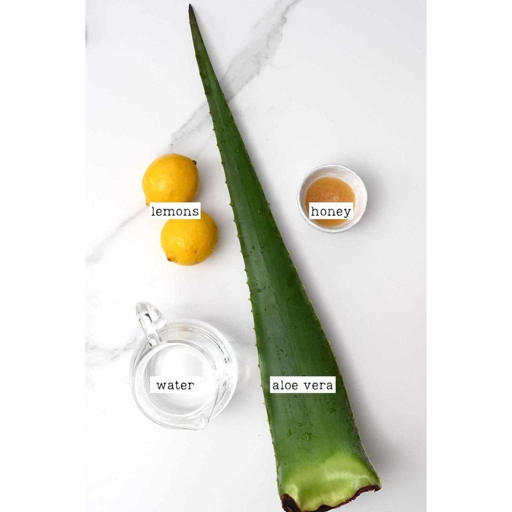 Hair Removal Cream Spray for Men & Women | Painless Body Hair Remover for Chest, Back, Legs, Underarms & Intimate Skin |100 Ml