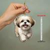 2D Flat, 1pc 2D Smile Xishi Dog Acrylic Pendant - Multifunctional Car Mirror Hanging Decoration and Keychain, Suitable for Home Decoration