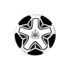 Newcastle United FC Mini Soft Football